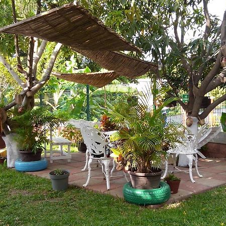 Real Del Ambar Hotel Tuxtla Gutiérrez Kültér fotó